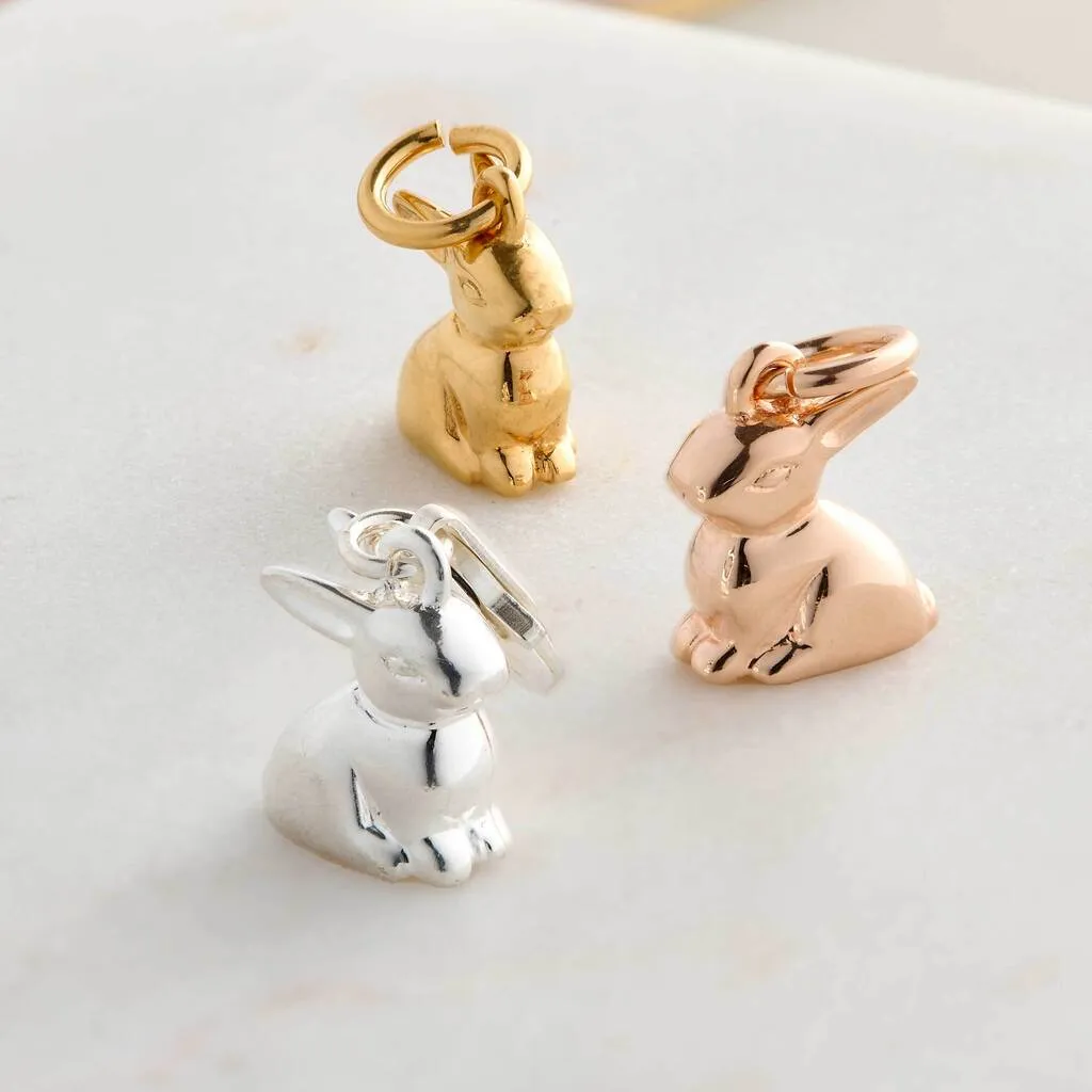 Bunny Rabbit Silver Charm