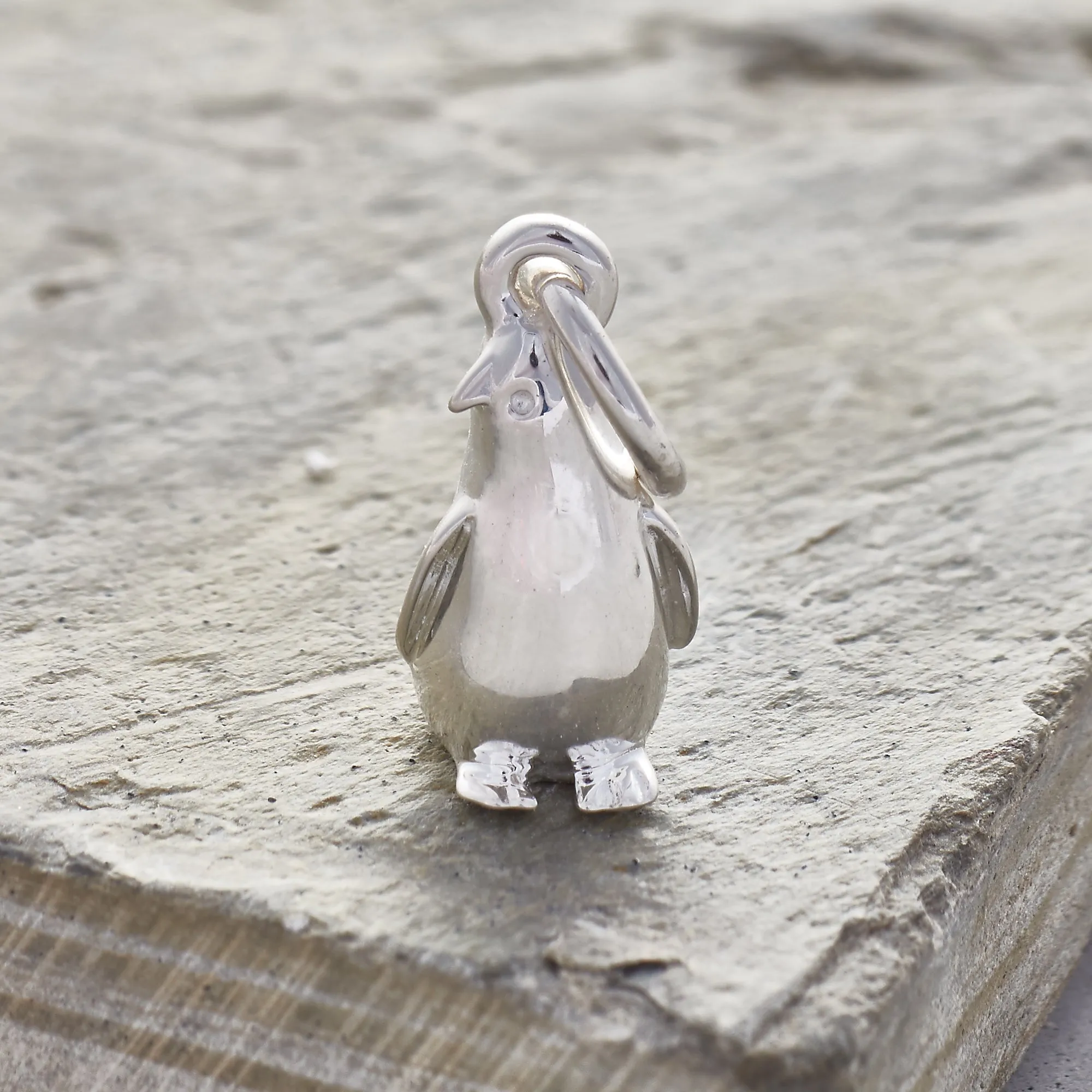 Penguin Silver Charm