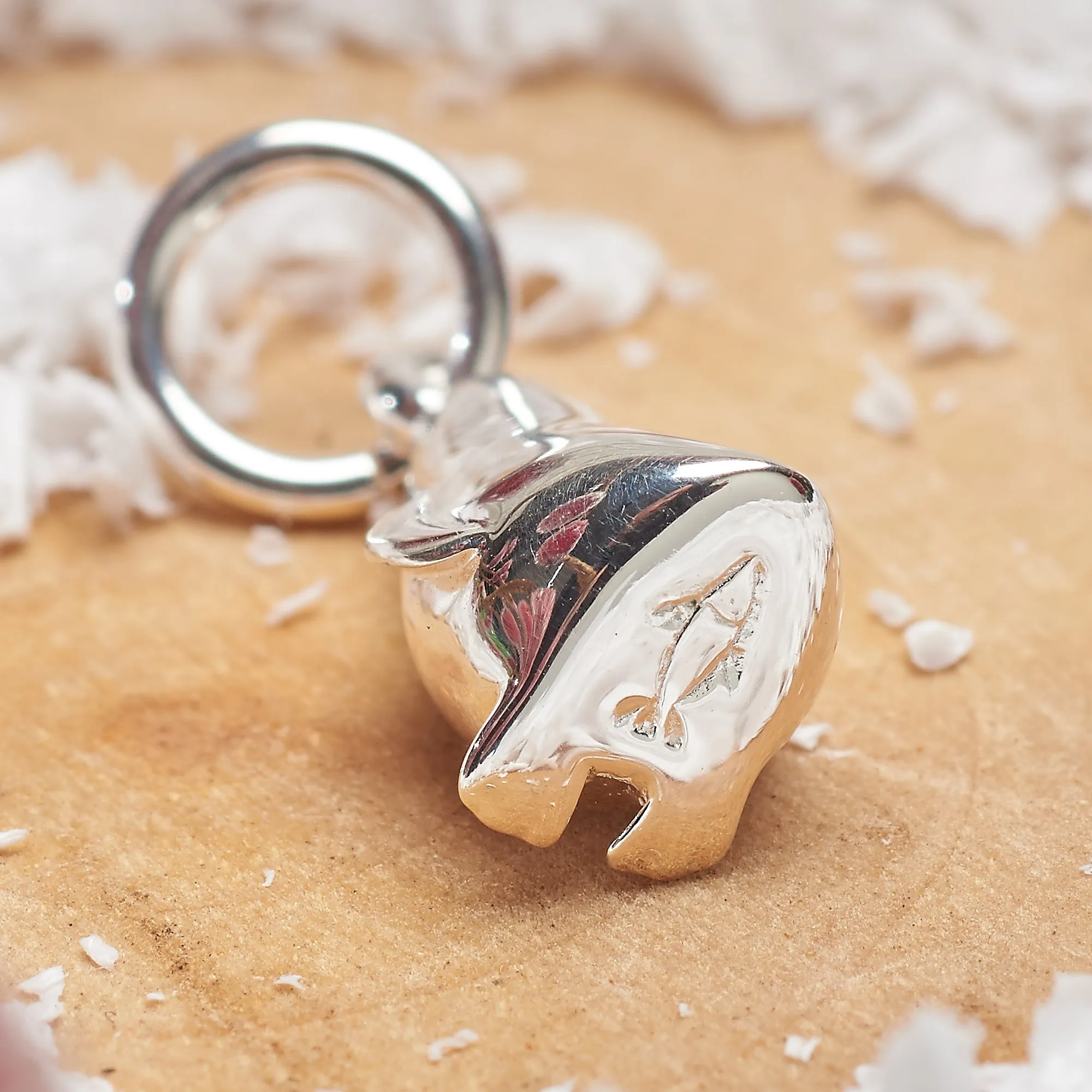 Penguin Silver Charm